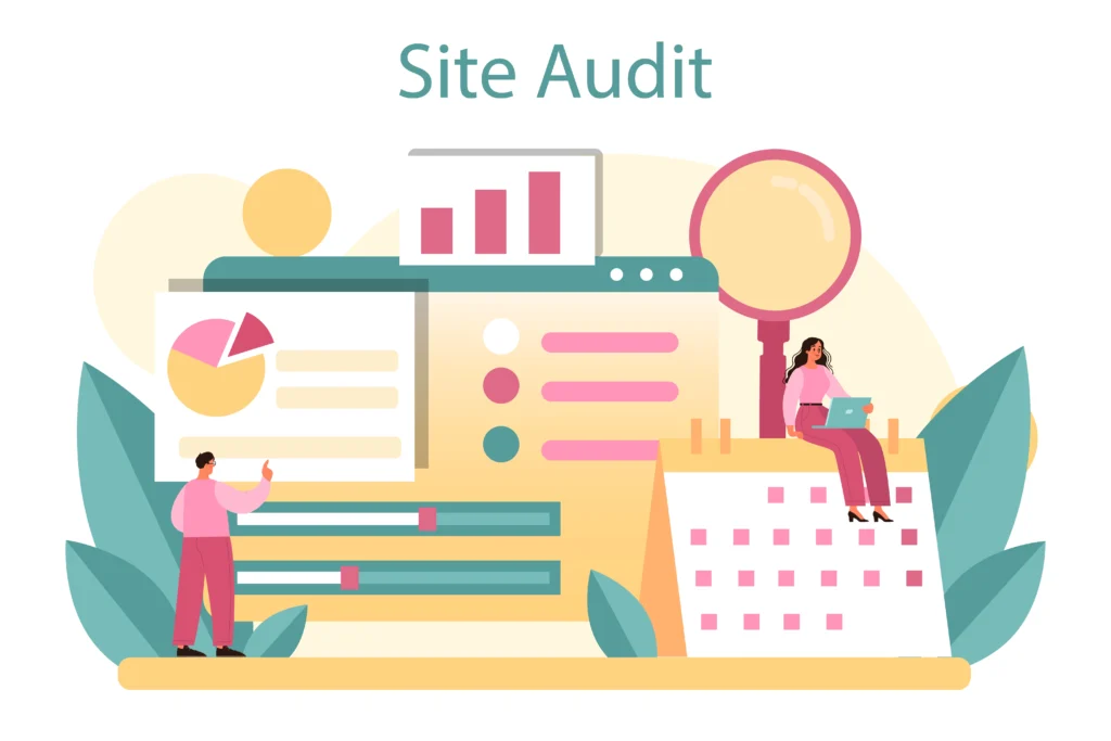 website-audit